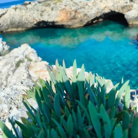 Chiapparo Alto Lägenhet *