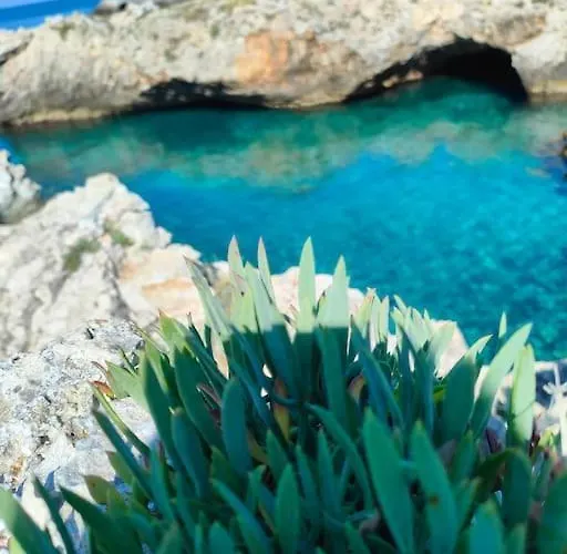 Chiapparo Alto 公寓 *